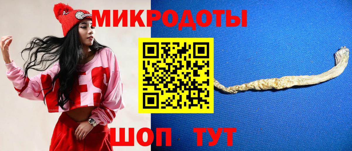 Псилоцибиновые грибы прущие грибы Дербент