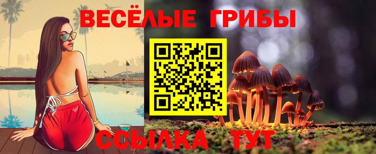 Псилоцибиновые грибы GOLDEN TEACHER  Вход с VPN  Псилоцибиновые грибы Psilocybe  Дербент 